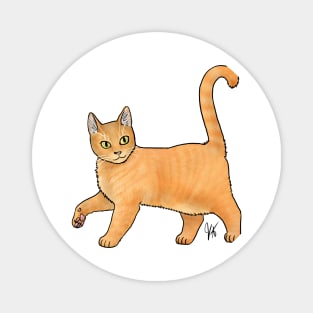 Cat - Cyprus Cat - Marmalade Magnet